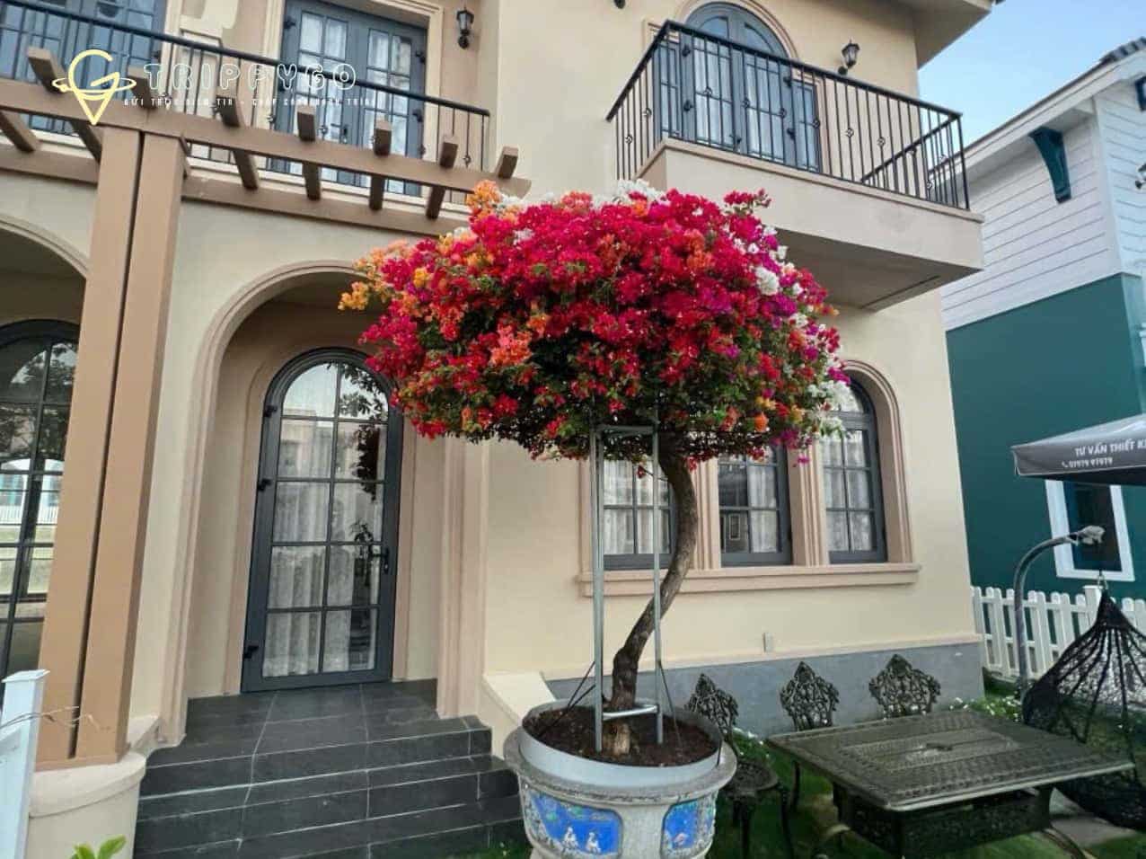 villa-3pn-novaworld-phan-thiet